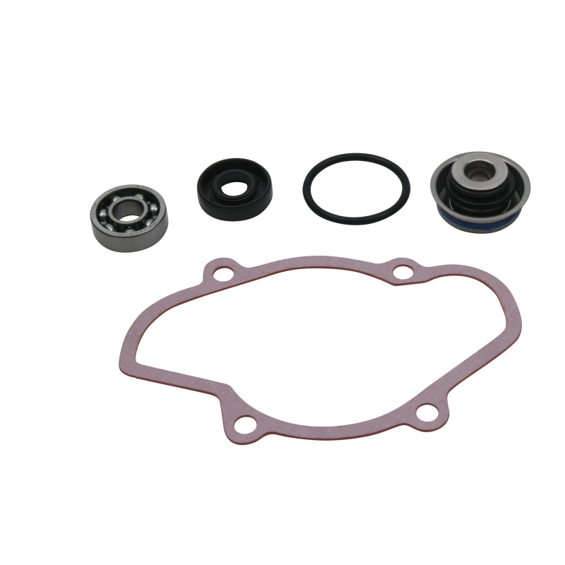 Vertex Pistons Vertex Gaskets 16-18 Ski-Doo Expedition 800 2-Stroke ETEC Water Pump Rebuild Kit