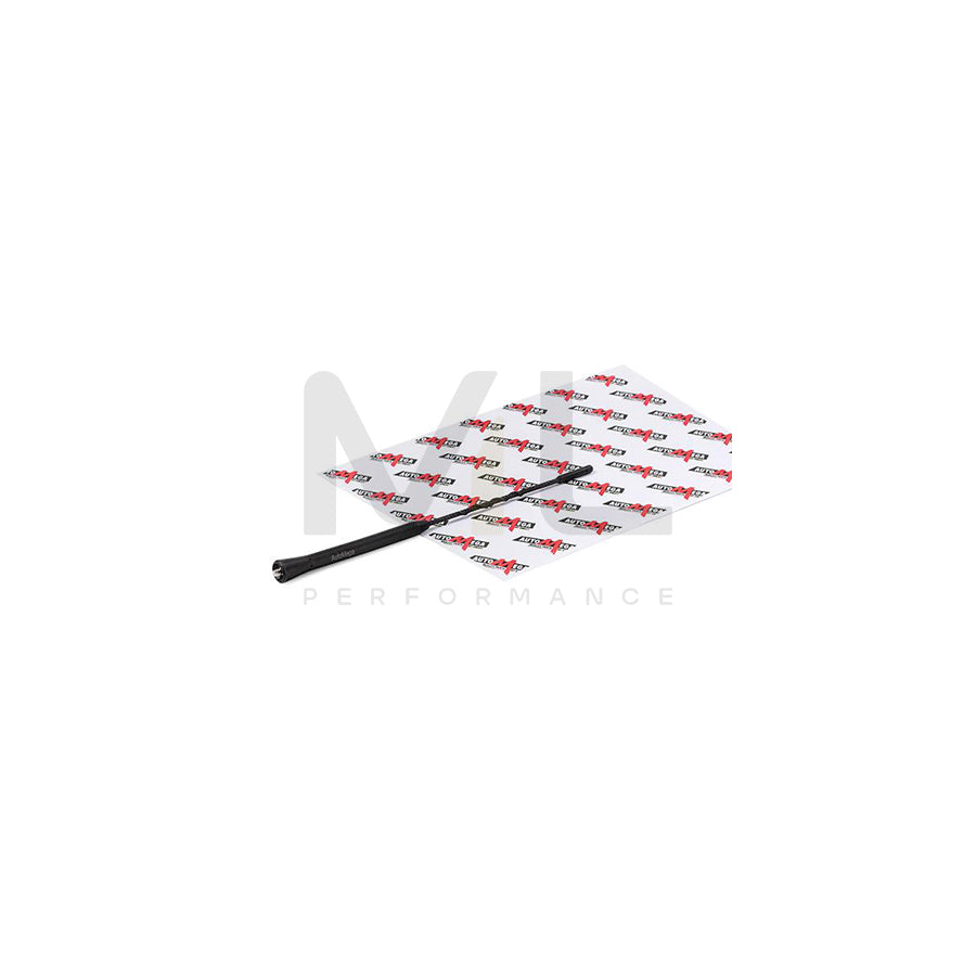 AUTOMEGA 100093610 Aerial outer