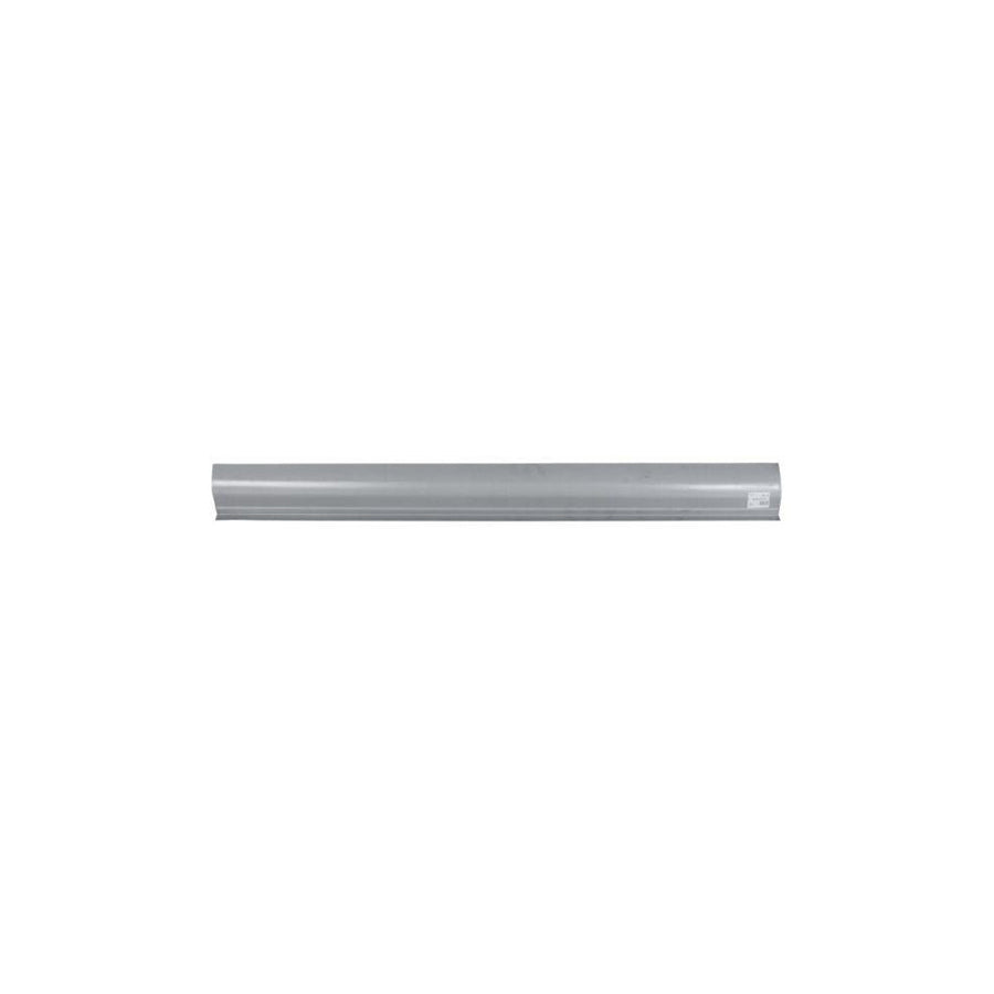 Blic 6505-06-0519015P Rocker Panel For Citroen C3 I Hatchback (Fc, Fn)