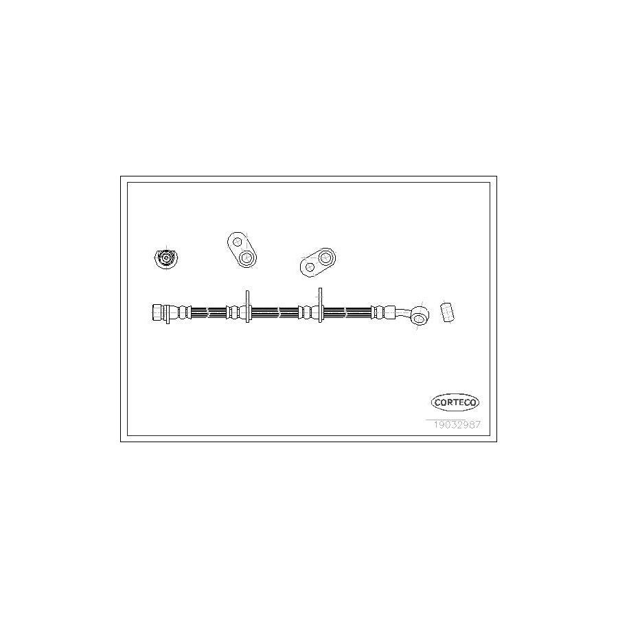 Corteco 19032987 Brake Hose for Honda S2000 (Ap)