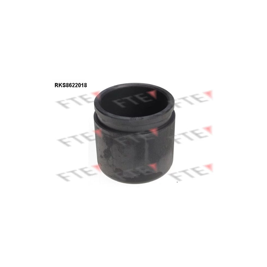 FTE 9313179 Piston, Brake Caliper for Nissan Sunny