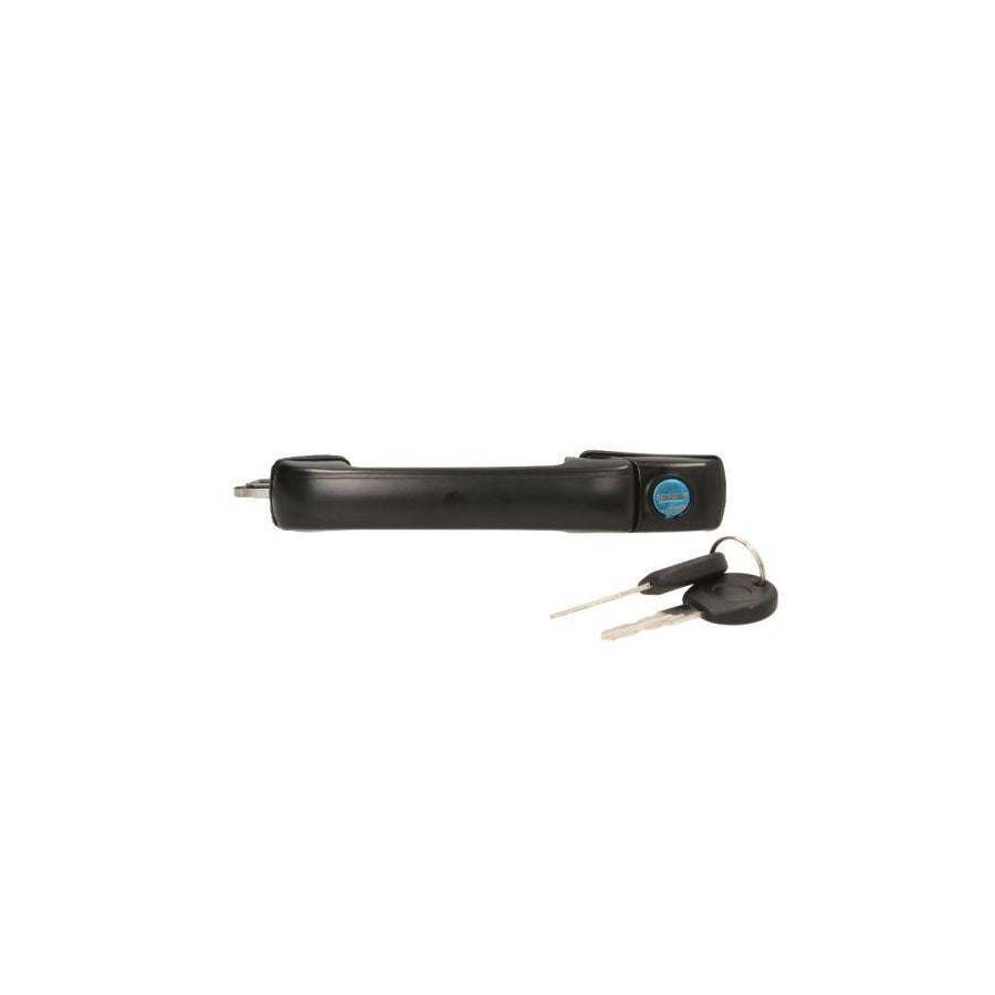 Blic 6010-01-015401P Door Handle