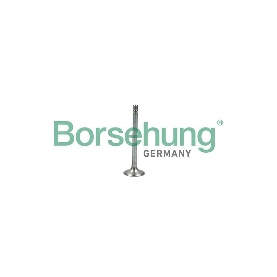 Borsehung B19005 Exhaust Valve