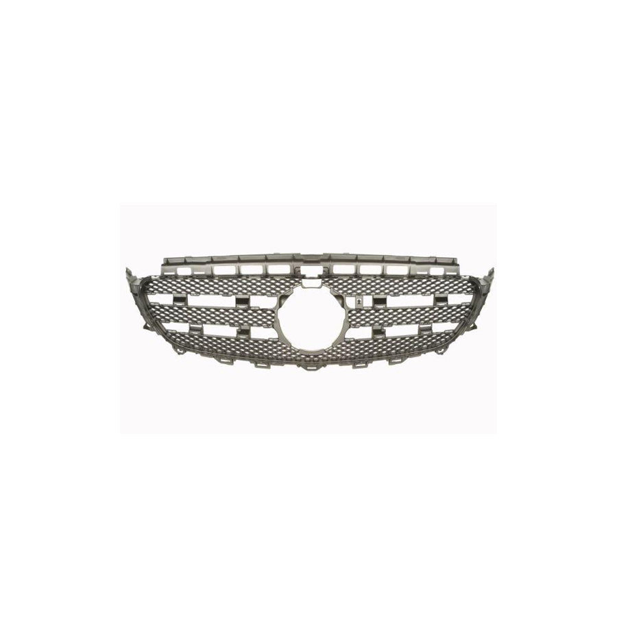 Blic 6502-07-3531991P Bumper Grill Suitable For Mercedes-Benz E-Class