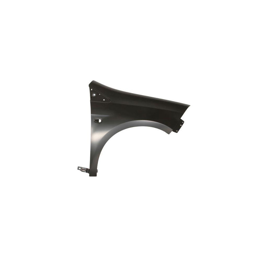 Blic 6504-04-2029312P Wing Fender For Fiat Bravo II Hatchback (198)