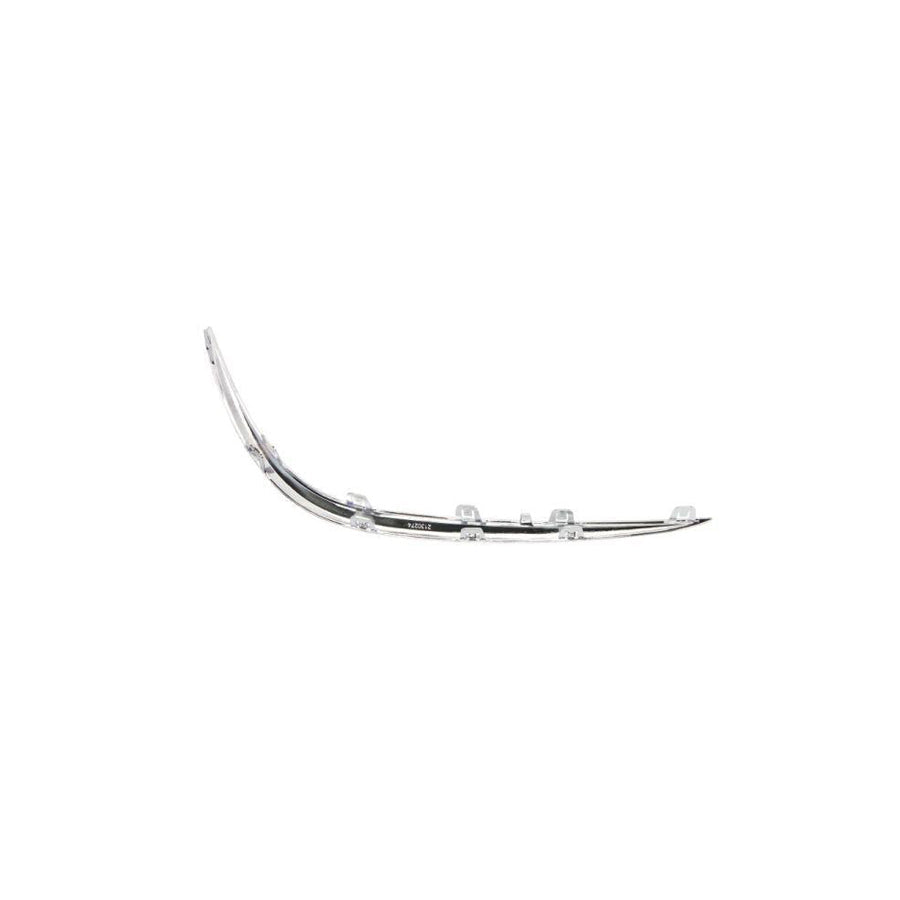 Blic 6502-07-3531916P Bumper Moulding Suitable For Mercedes-Benz E-Class