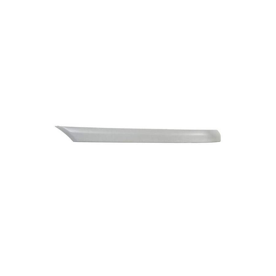 Blic 5703-05-3515975P Bumper Moulding Suitable For Mercedes-Benz C-Class