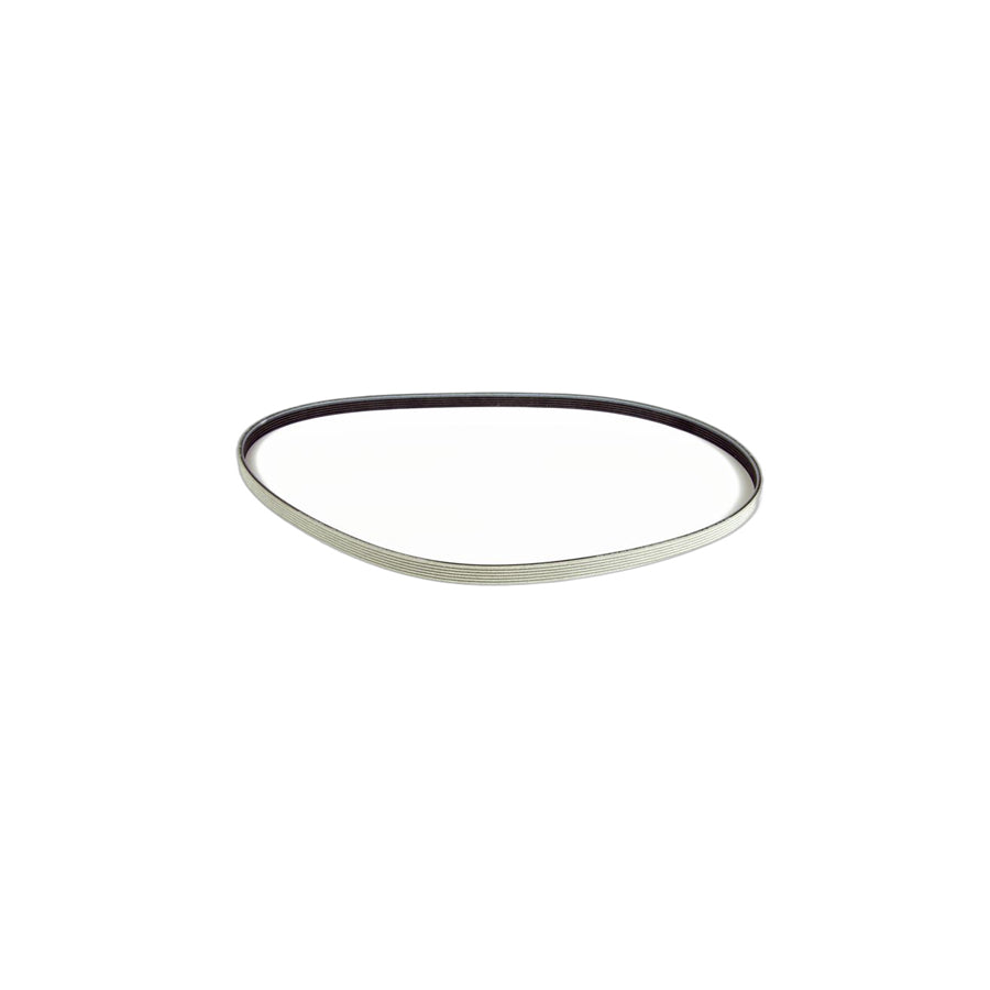 Genuine BMW 11288574957 E92 E93 E82 Ribbed V-Belt 6 DPK X 1697 (Inc. 330d, 318d & 325d) | ML Performance UK Car Parts