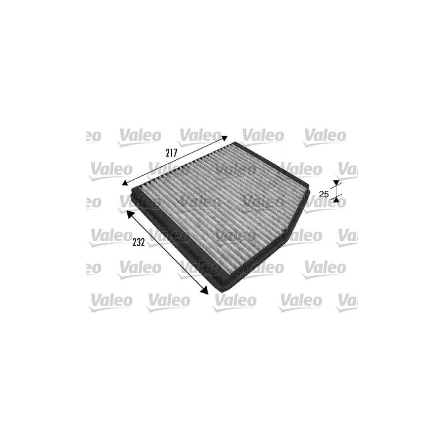 Valeo Climfilter Protect 698839 Pollen Filter | ML Performance US Car Parts