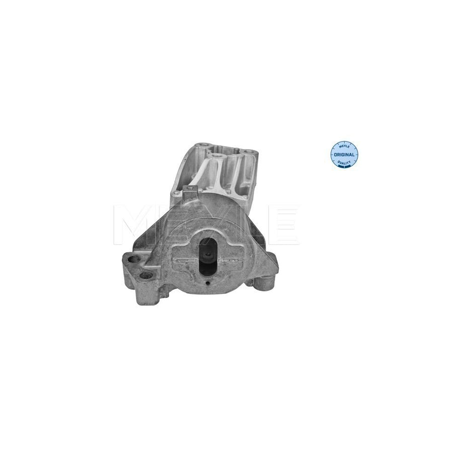 Meyle 28-14 322 0005 Oil Filter