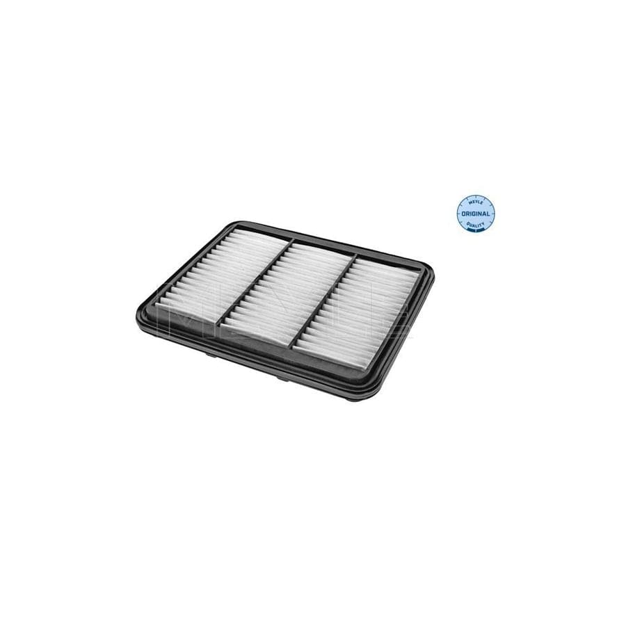Meyle 29-12 321 0005 Air Filter