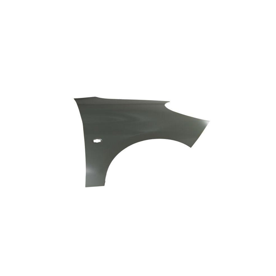 Blic 6504-04-5507314P Wing Fender For Peugeot 206+ Hatchback (2L, 2M)