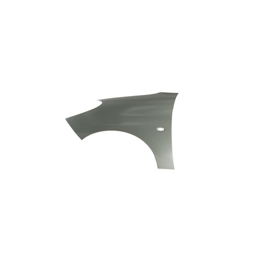 Blic 6504-04-5507313P Wing Fender For Peugeot 206+ Hatchback (2L, 2M)
