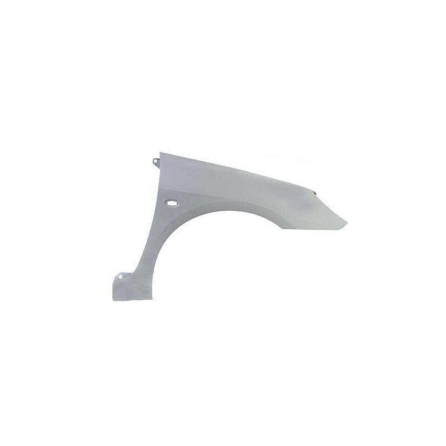 Blic 6504-04-5514312P Wing Fender For Peugeot 307