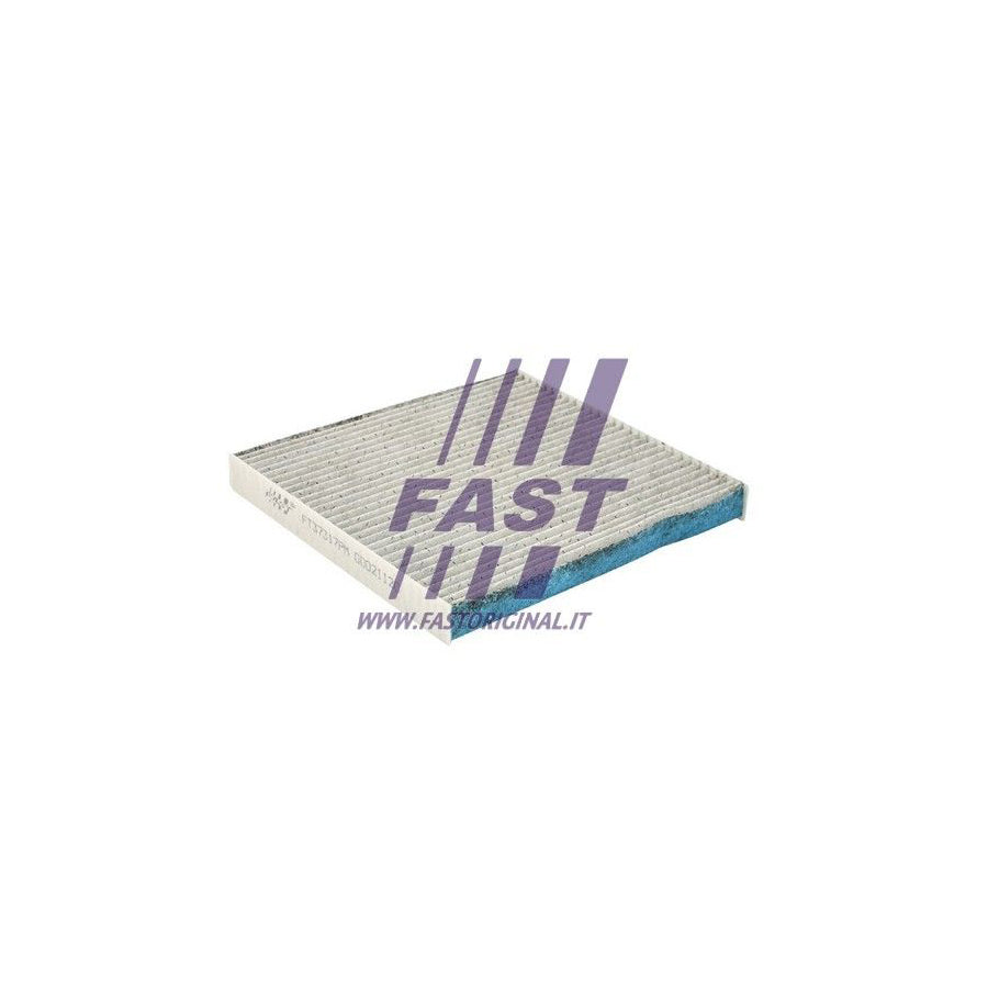 Fast FT37317Pm Pollen Filter