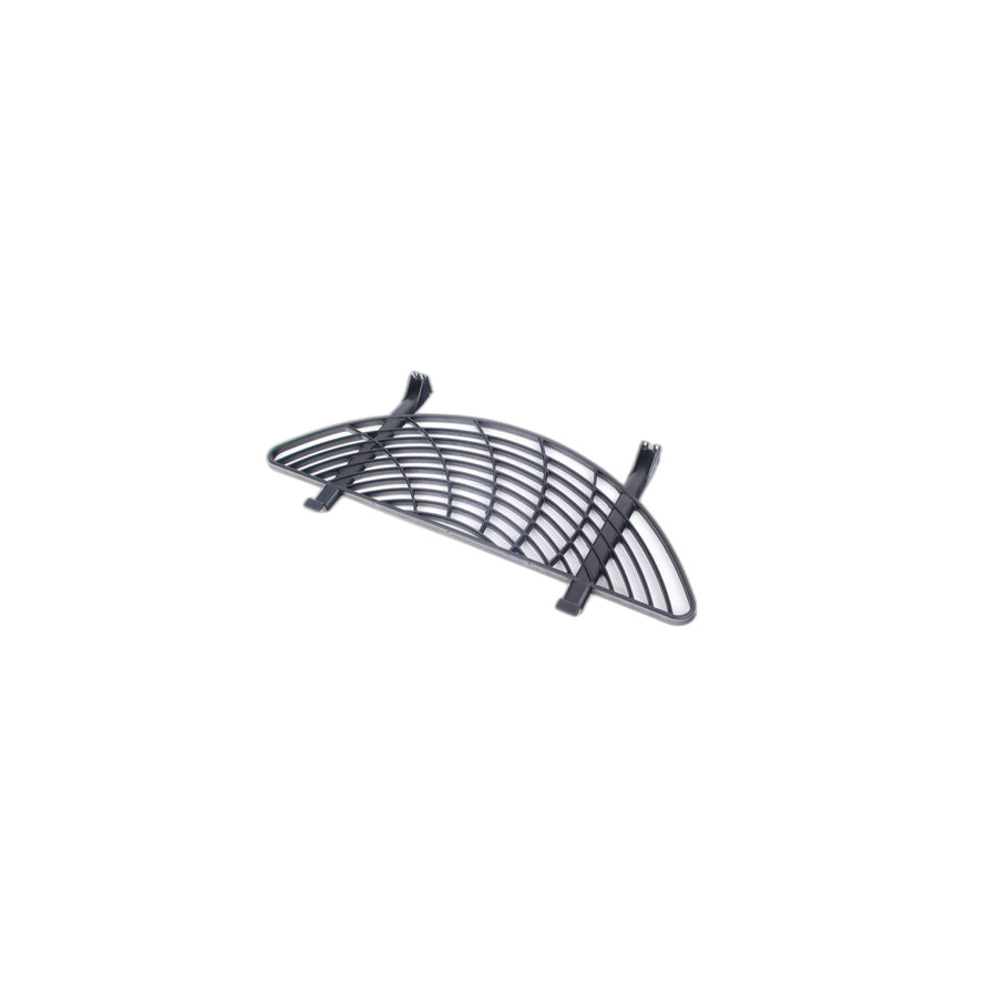Genuine BMW 51717000432 E46 Protecting Grille (Inc. 318Ci) | ML Performance UK Car Parts