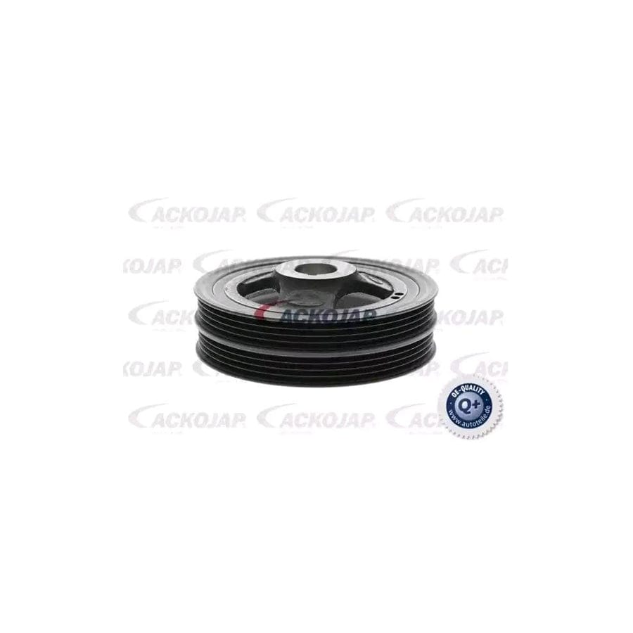 Ackoja A52-0602 Crankshaft Pulley | ML Performance US