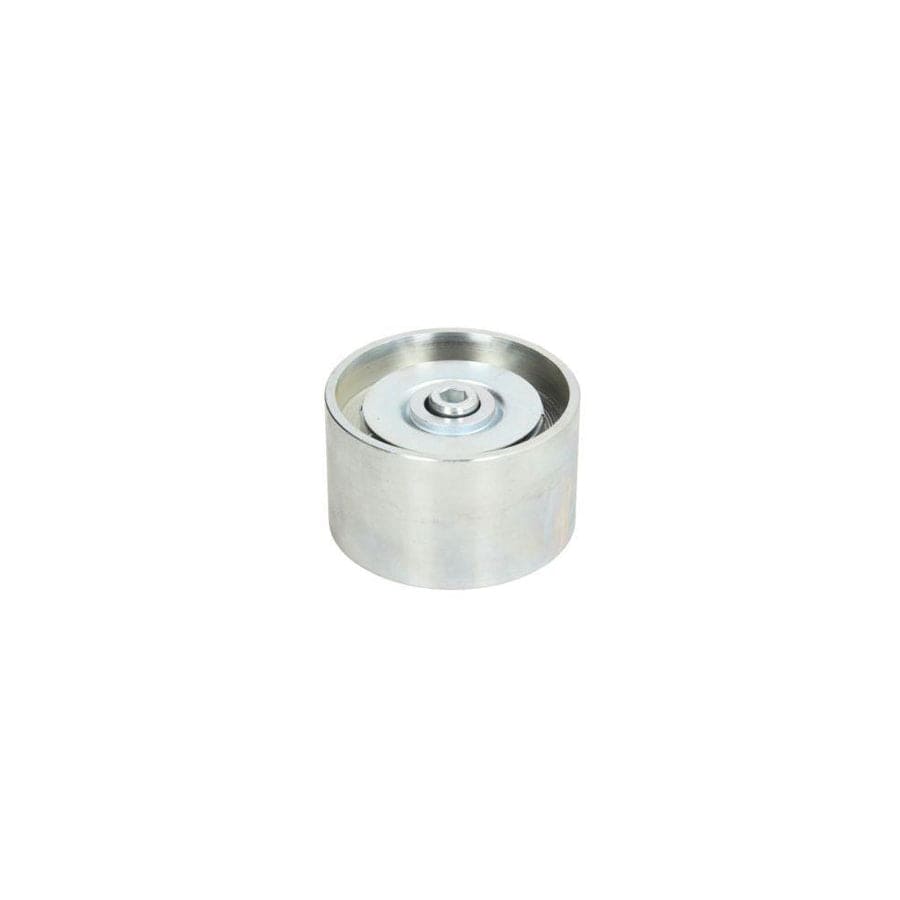 BTA B05-02-029 Tensioner Pulley
