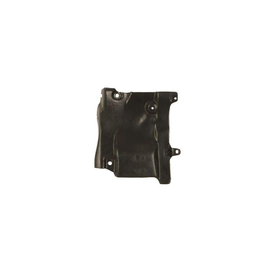 Blic 6803-00-1666280P Bonnet For Nissan Primera