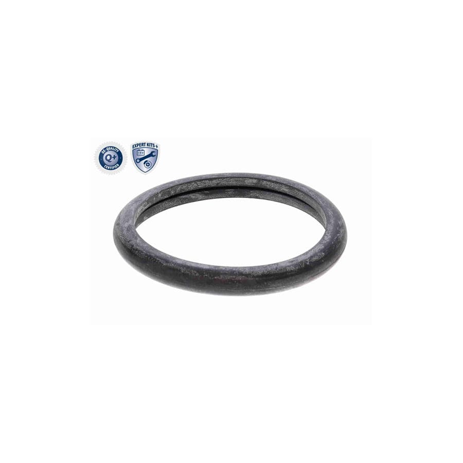 Ackoja A53-99-0008 Engine Thermostat | ML Performance US