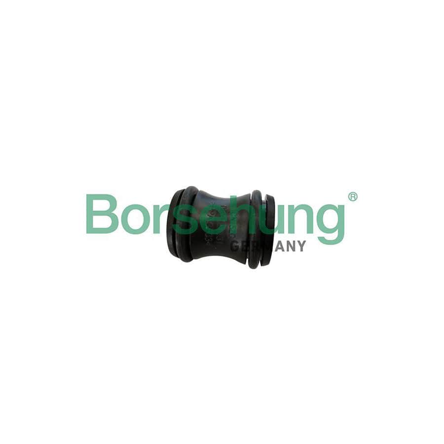 Borsehung B11990 Coolant Flange
