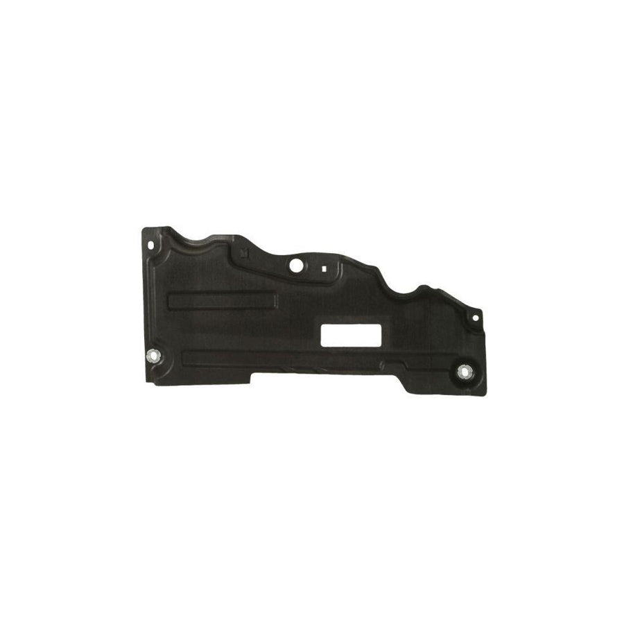 Blic 6601-02-2598863P Skid Plate