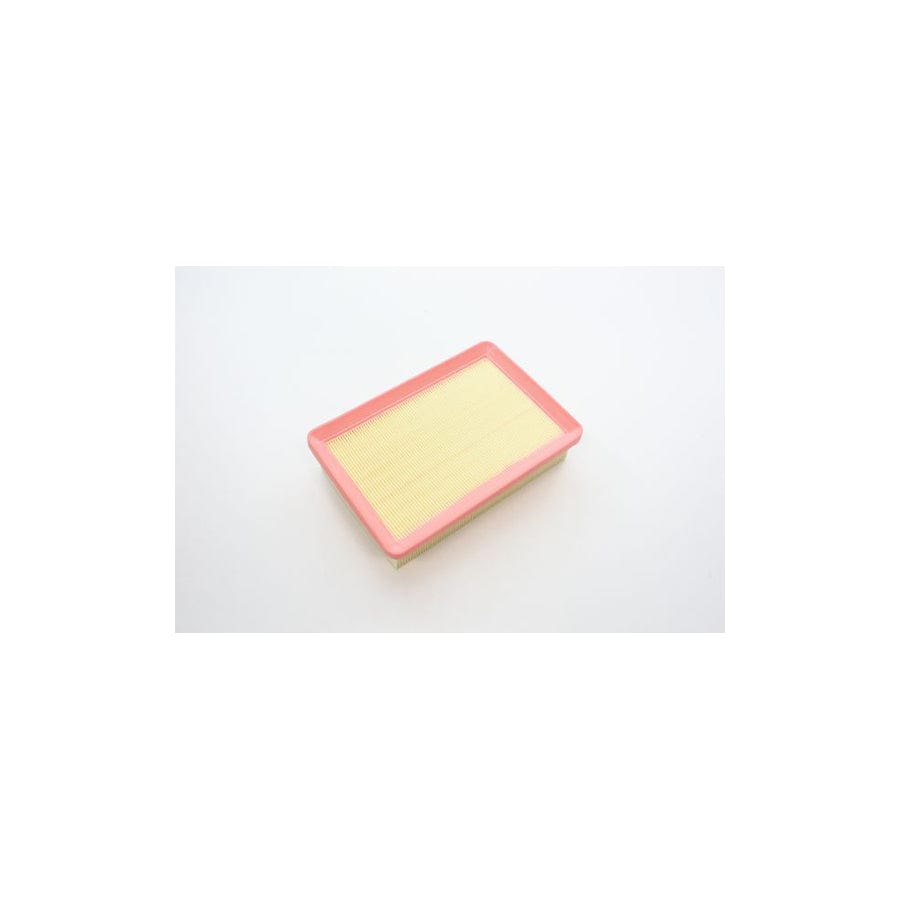 Automega 180067210 Air Filter