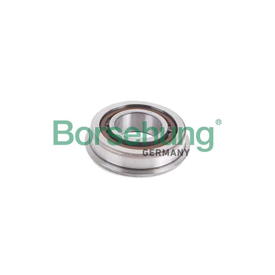 Borsehung B19057 Bearing, Manual Transmission