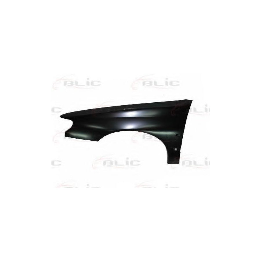 Blic 6504-04-5536313P Wing Fender For Peugeot 406