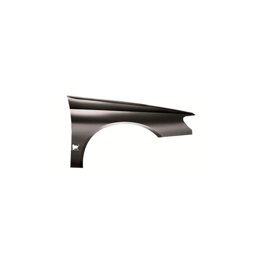 Blic 6504-04-5536312P Wing Fender For Peugeot 406