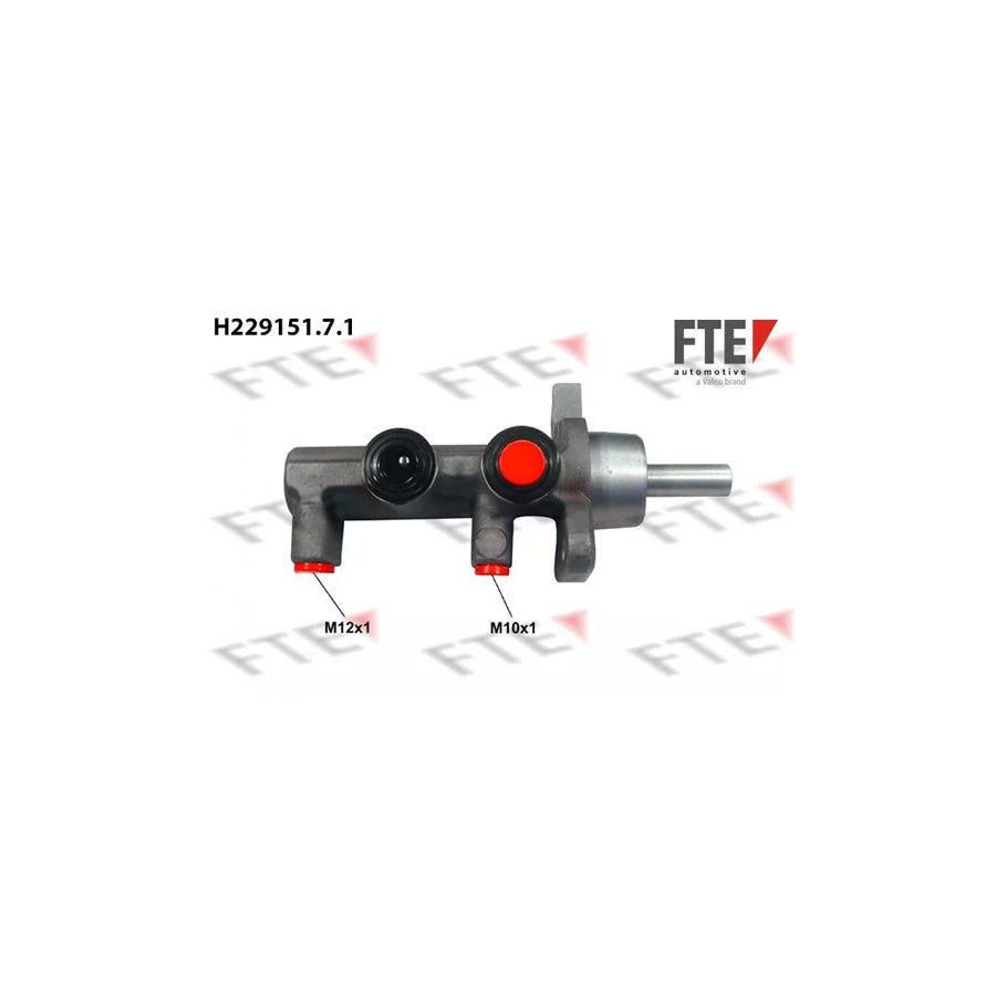 FTE H229151.7.1 Brake Master Cylinder