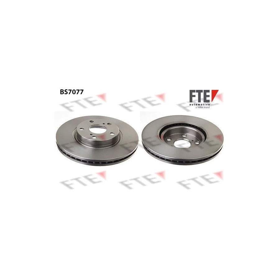FTE Bs7077 Brake Disc