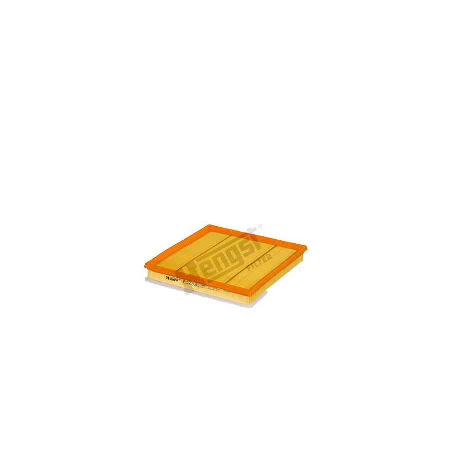 Hengst Filter E1233L Air Filter