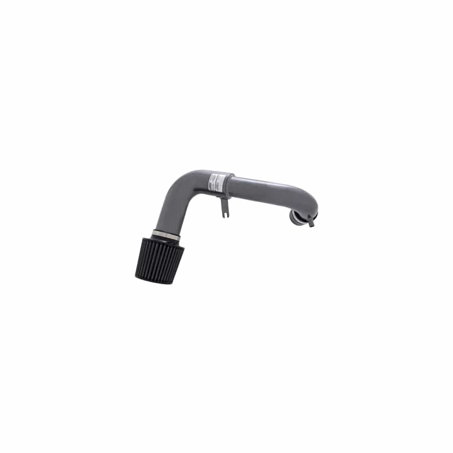 AEM 24-6102C Dual Chamber Intake System