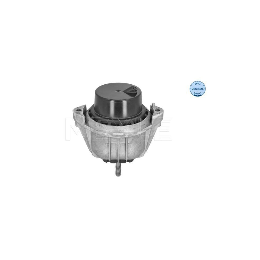 Meyle 314 030 0013 Engine Mount