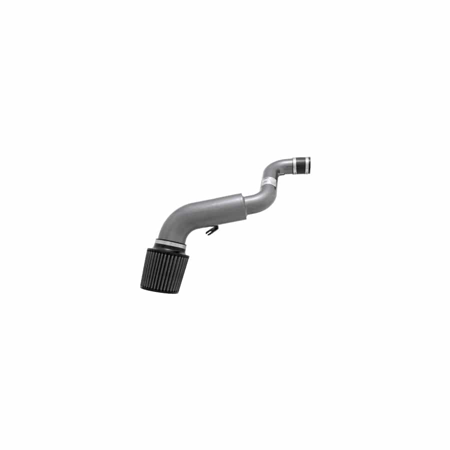 AEM 24-6005C Dual Chamber Intake System