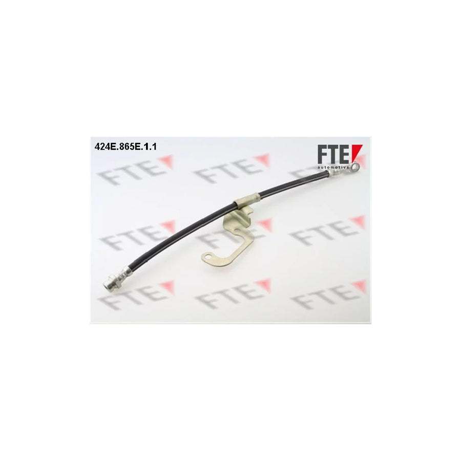 FTE 9240610 Brake Hose for Hyundai Terracan (Hp)