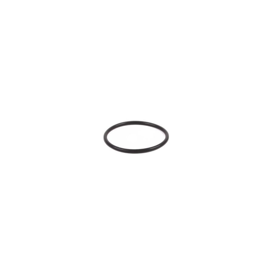 Genuine BMW Mini 13517528408 F07 F23 O-Ring (Inc. X4 35iX) | ML Performance US Car Parts