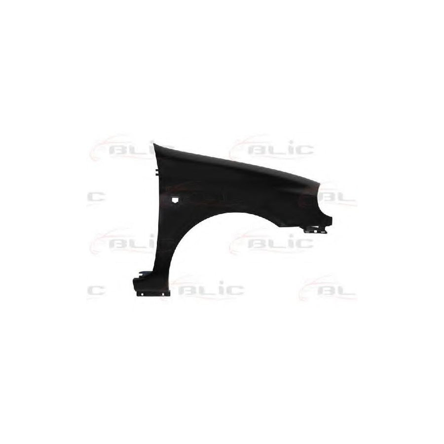 Blic 6504-04-6032312P Wing Fender For Renault Clio