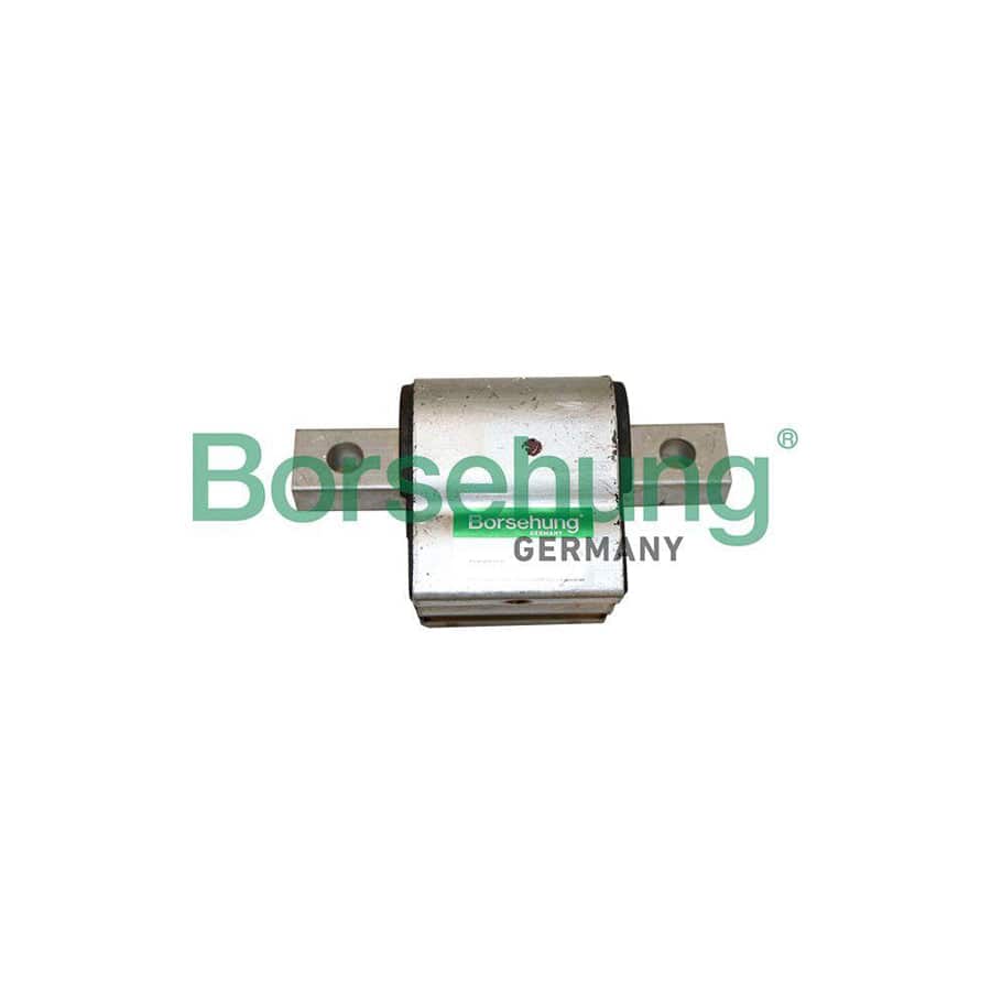 Borsehung B19077 Engine Mount Suitable for Mercedes-Benz S-Class Coupe (C217)
