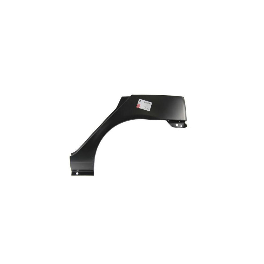 Blic 6504-03-6032581P Sidewall For Renault Clio