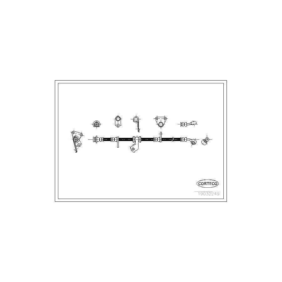 Corteco 19032249 Brake Hose