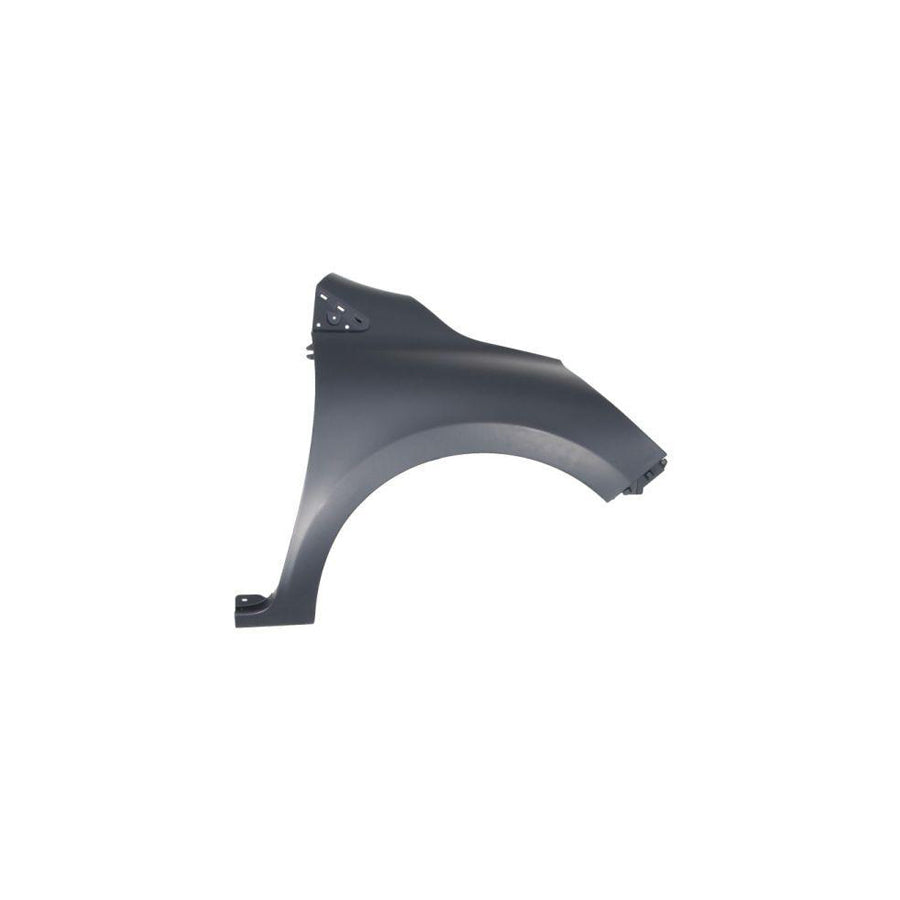 Blic 6504-04-6034312P Wing Fender For Renault Clio