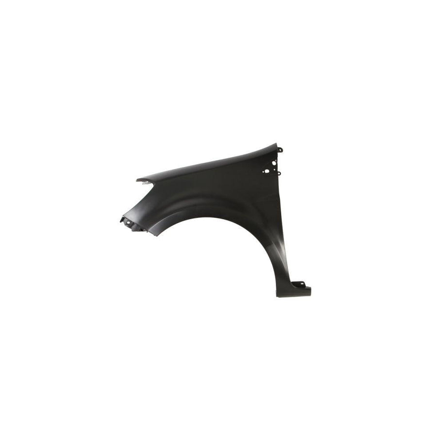 Blic 6504-04-6033313P Wing Fender For Renault Clio