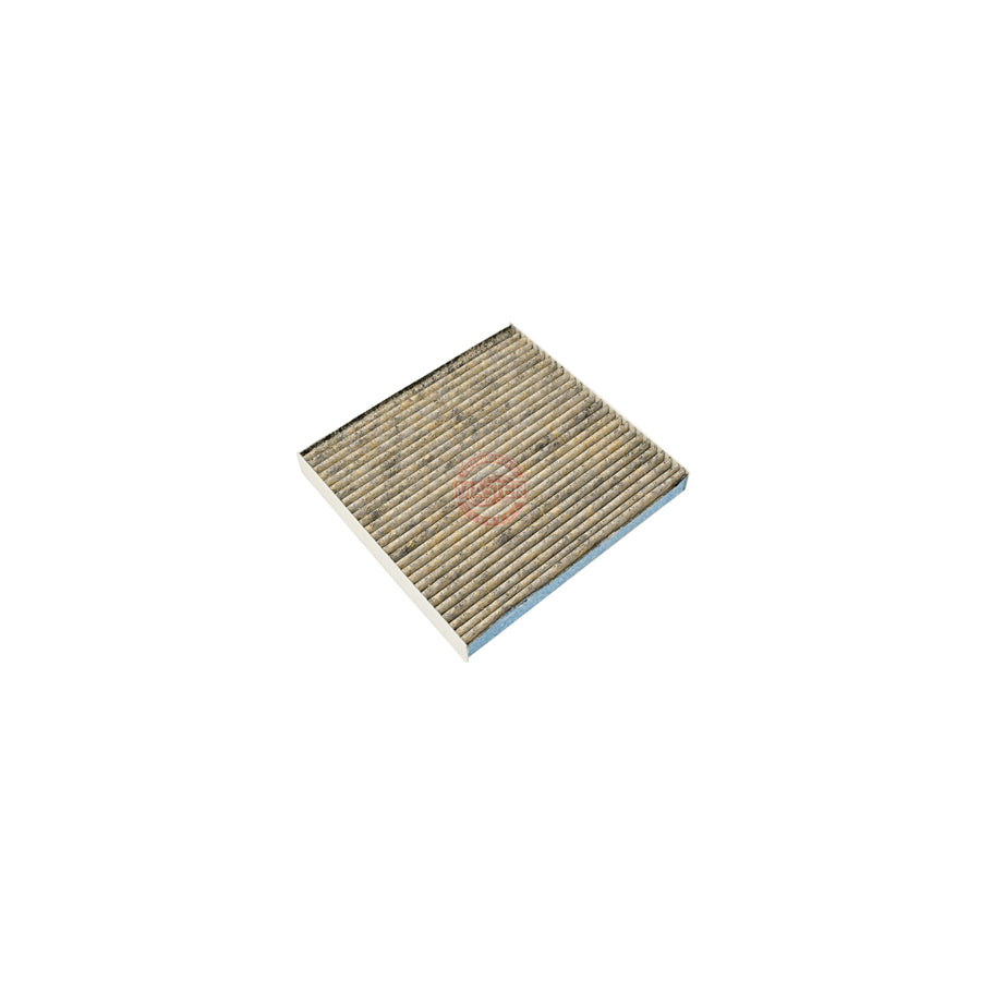 Master Sport 2358-IFB-PCS-Ms Pollen Filter