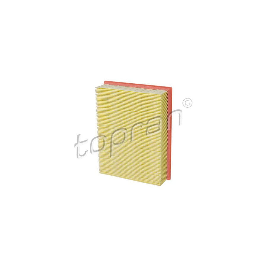 Topran 206 613 Air Filter