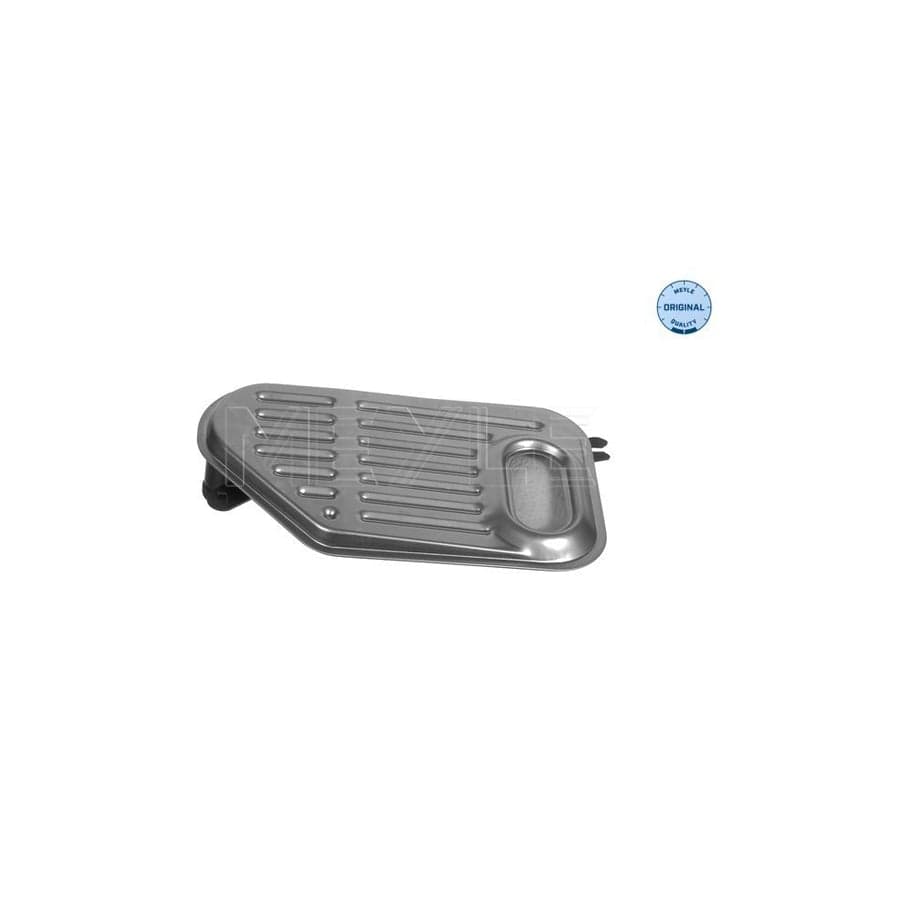 Meyle 100 325 0005 Hydraulic Filter, Automatic Transmission