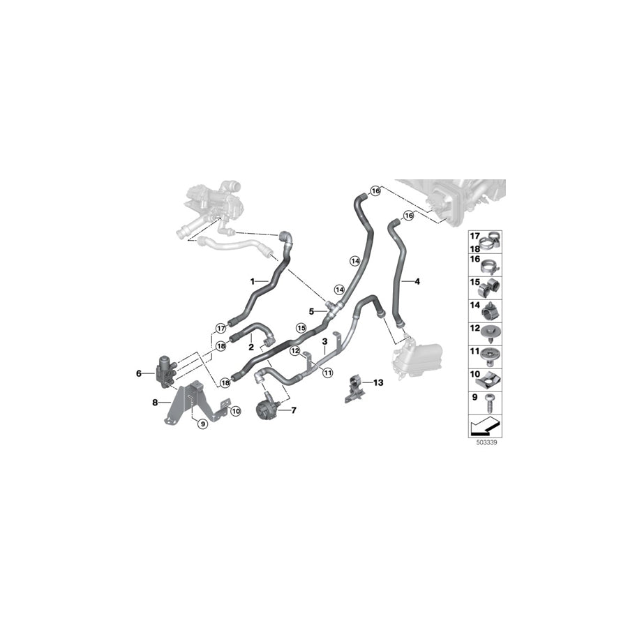Genuine BMW 64219398819 G05 Coolant Hose Radiator Feed 4 (Inc. X5 45eX) | ML Performance US