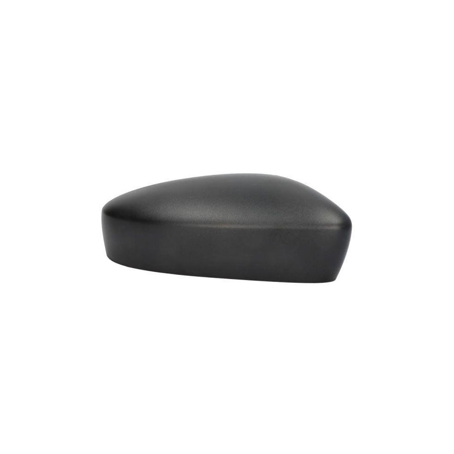 Blic 6504-04-6032316P Wing Fender For Renault Clio II Hatchback (Bb, Cb)