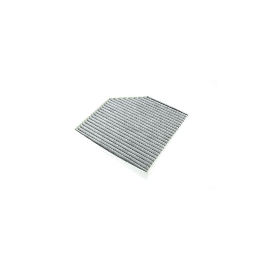 AUTOMEGA 180052910 Pollen Filter